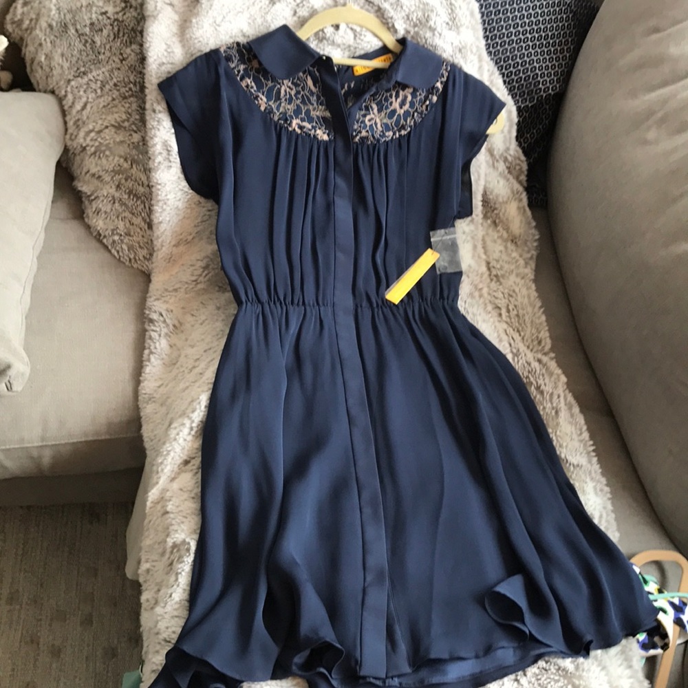 NWT Alice + Olivia Silk Dress with Embroidery
